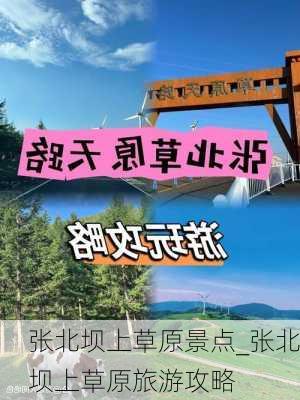 张北坝上草原景点_张北坝上草原旅游攻略