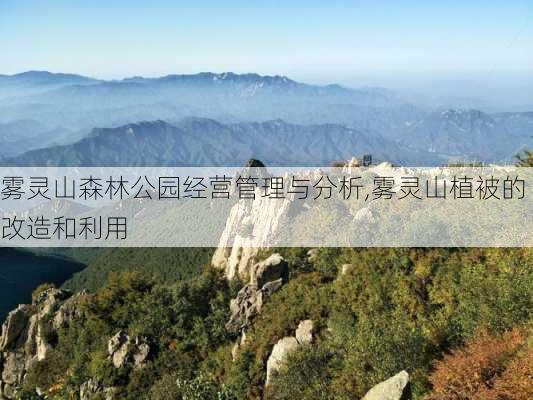 雾灵山森林公园经营管理与分析,雾灵山植被的改造和利用