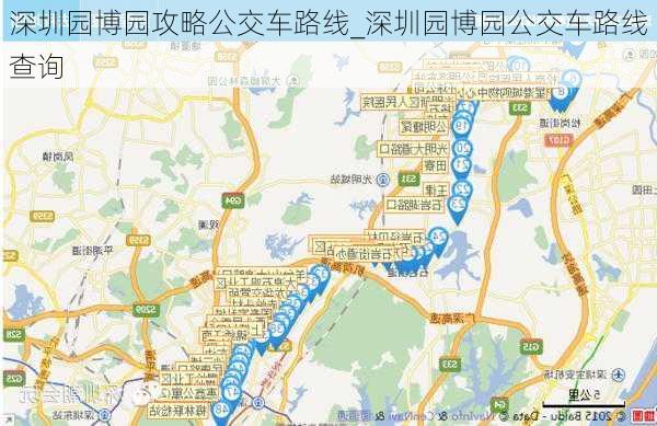 深圳园博园攻略公交车路线_深圳园博园公交车路线查询