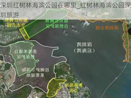 深圳红树林海滨公园在哪里_红树林海滨公园深圳旅游