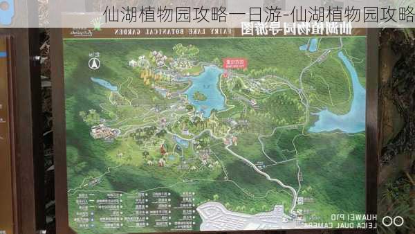 仙湖植物园攻略一日游-仙湖植物园攻略