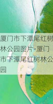 厦门市下潭尾红树林公园图片-厦门市下潭尾红树林公园