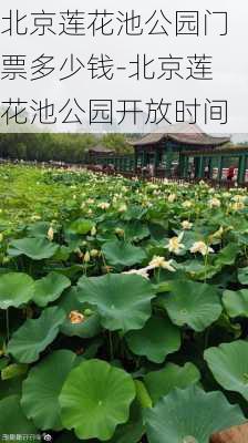 北京莲花池公园门票多少钱-北京莲花池公园开放时间