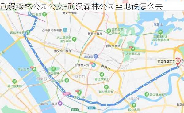 武汉森林公园公交-武汉森林公园坐地铁怎么去