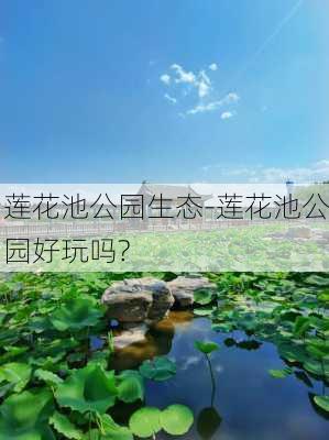 莲花池公园生态-莲花池公园好玩吗?