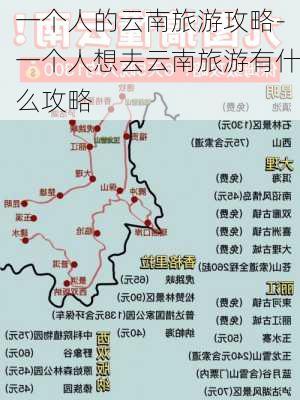 一个人的云南旅游攻略-一个人想去云南旅游有什么攻略