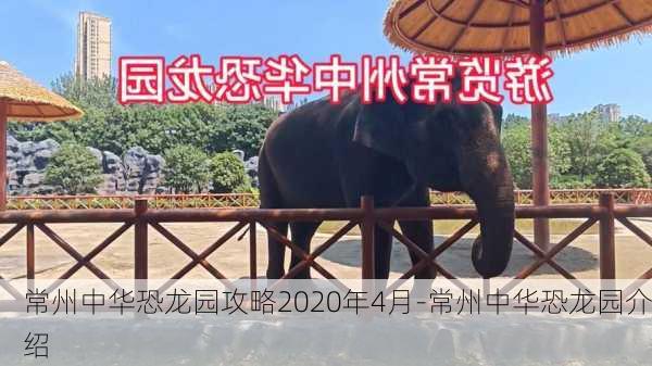 常州中华恐龙园攻略2020年4月-常州中华恐龙园介绍