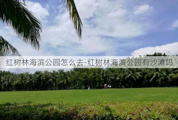 红树林海滨公园怎么去-红树林海滨公园有沙滩吗