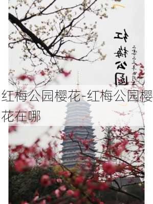 红梅公园樱花-红梅公园樱花在哪