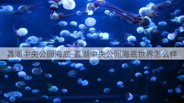 蠡湖中央公园海底-蠡湖中央公园海底世界怎么样