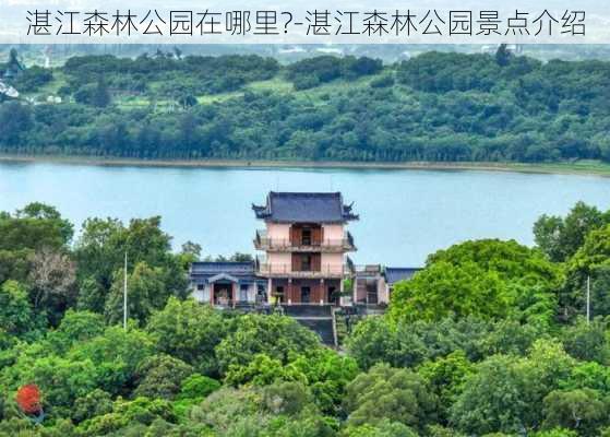 湛江森林公园在哪里?-湛江森林公园景点介绍