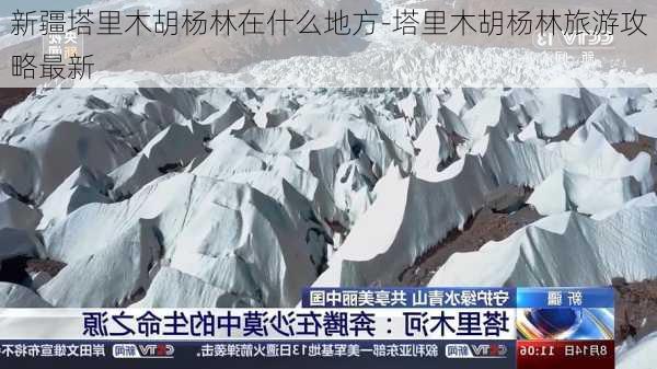 新疆塔里木胡杨林在什么地方-塔里木胡杨林旅游攻略最新