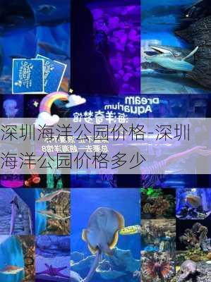 深圳海洋公园价格-深圳海洋公园价格多少