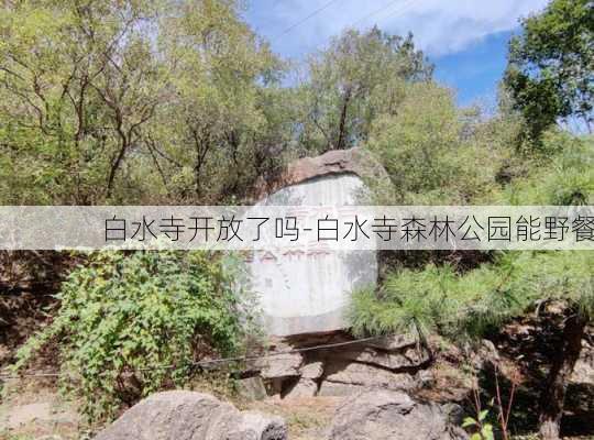 白水寺开放了吗-白水寺森林公园能野餐