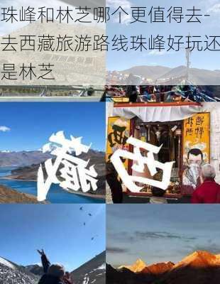 珠峰和林芝哪个更值得去-去西藏旅游路线珠峰好玩还是林芝