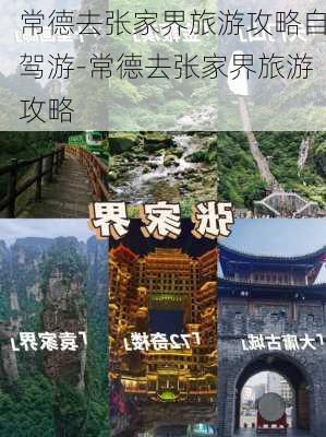 常德去张家界旅游攻略自驾游-常德去张家界旅游攻略