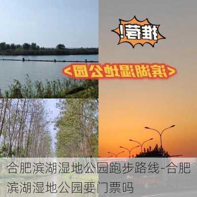 合肥滨湖湿地公园跑步路线-合肥滨湖湿地公园要门票吗