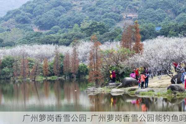 广州箩岗香雪公园-广州萝岗香雪公园能钓鱼吗