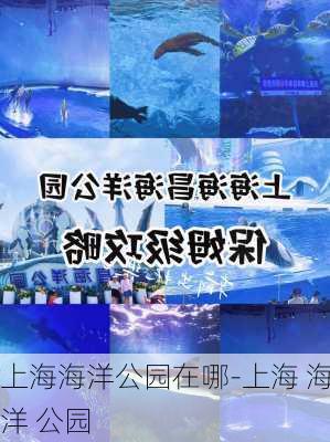 上海海洋公园在哪-上海 海洋 公园