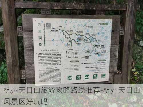 杭州天目山旅游攻略路线推荐-杭州天目山风景区好玩吗