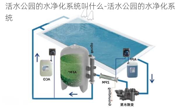 活水公园的水净化系统叫什么-活水公园的水净化系统