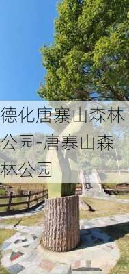 德化唐寨山森林公园-唐寨山森林公园