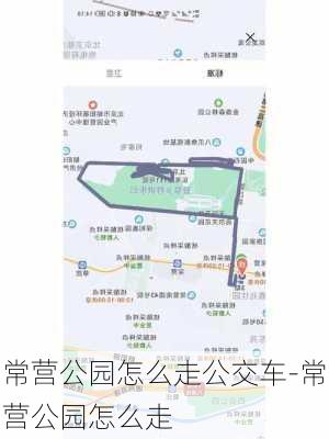 常营公园怎么走公交车-常营公园怎么走