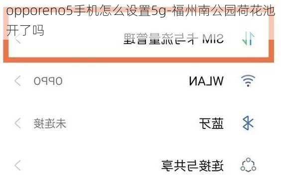 opporeno5手机怎么设置5g-福州南公园荷花池开了吗