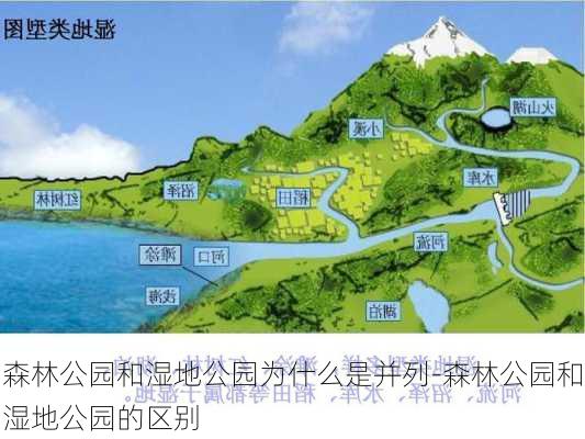 森林公园和湿地公园为什么是并列-森林公园和湿地公园的区别