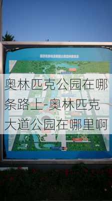 奥林匹克公园在哪条路上-奥林匹克大道公园在哪里啊