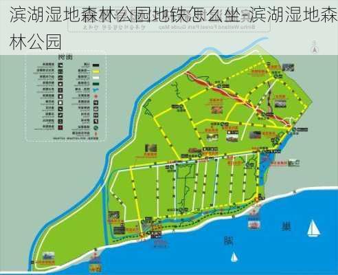 滨湖湿地森林公园地铁怎么坐-滨湖湿地森林公园