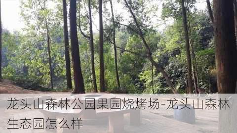 龙头山森林公园果园烧烤场-龙头山森林生态园怎么样