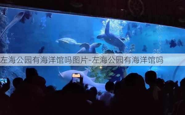 左海公园有海洋馆吗图片-左海公园有海洋馆吗