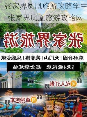 张家界凤凰旅游攻略学生-张家界凤凰旅游攻略网