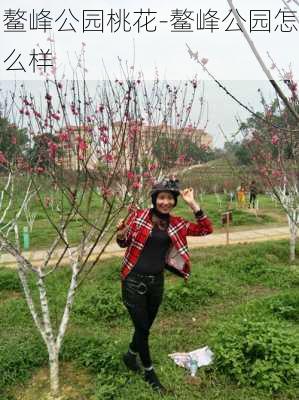 鳌峰公园桃花-鳌峰公园怎么样