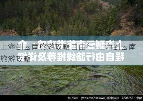 上海到云南旅游攻略自由行-上海到云南旅游攻略