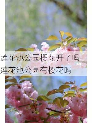 莲花池公园樱花开了吗-莲花池公园有樱花吗