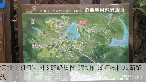 深圳仙湖植物园攻略路线图-深圳仙湖植物园攻略路线