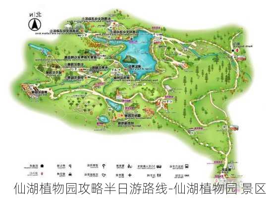 仙湖植物园攻略半日游路线-仙湖植物园 景区