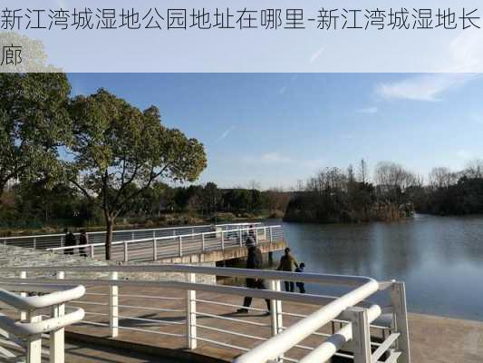 新江湾城湿地公园地址在哪里-新江湾城湿地长廊