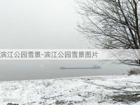 滨江公园雪景-滨江公园雪景图片