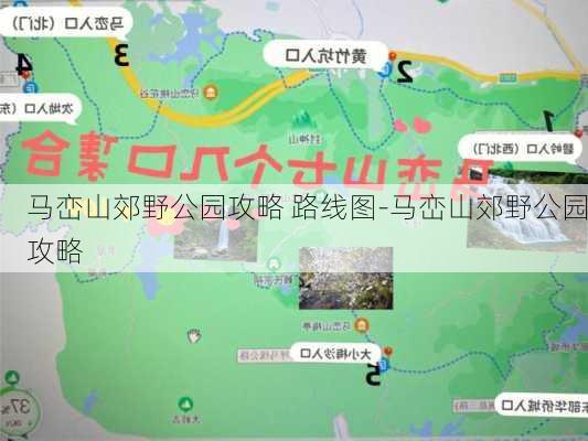 马峦山郊野公园攻略 路线图-马峦山郊野公园攻略