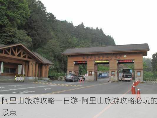 阿里山旅游攻略一日游-阿里山旅游攻略必玩的景点