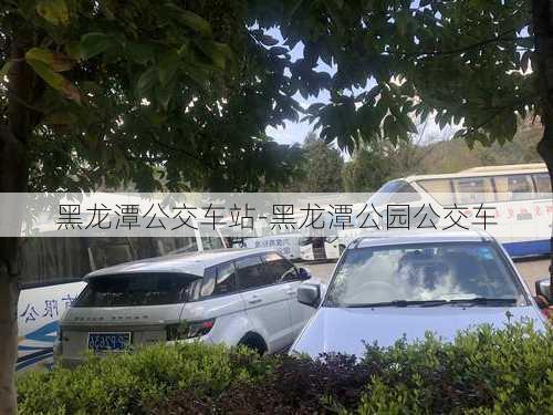 黑龙潭公交车站-黑龙潭公园公交车